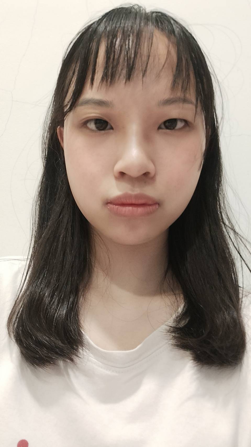 中華民國體育運動舞蹈總會